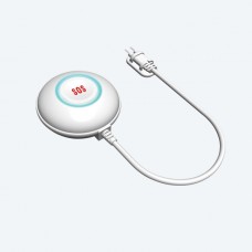 Wireless water detector